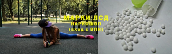 стафф Алексин